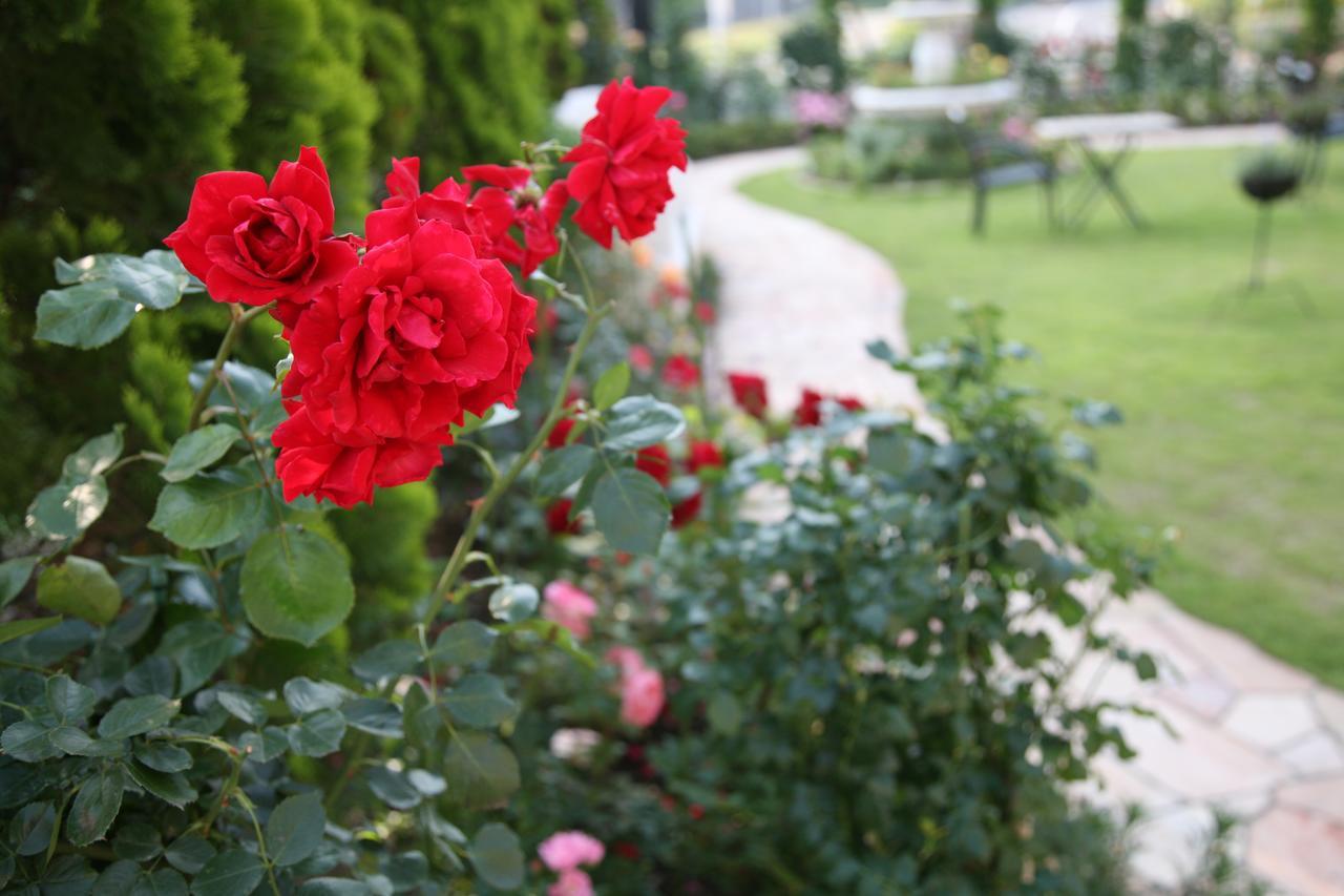 Hotel Sunlife Garden Hiratsuka Luaran gambar